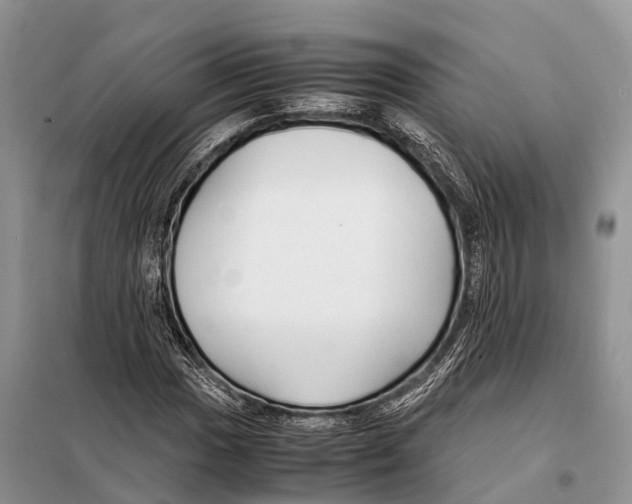 X0000097901017200804111039