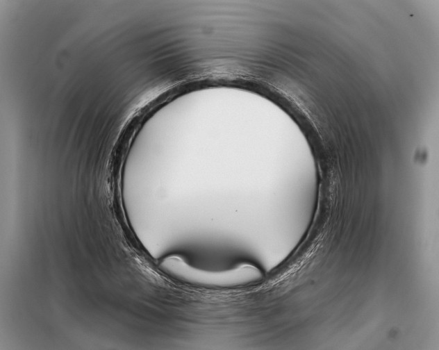 X0000097901018200804111039