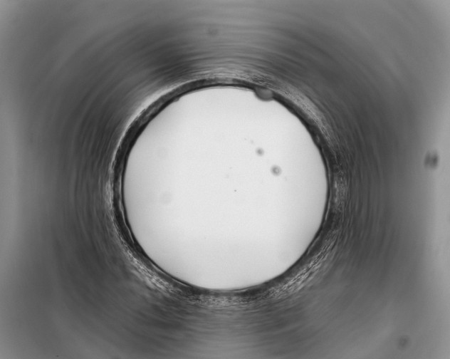 X0000097901020200804111039