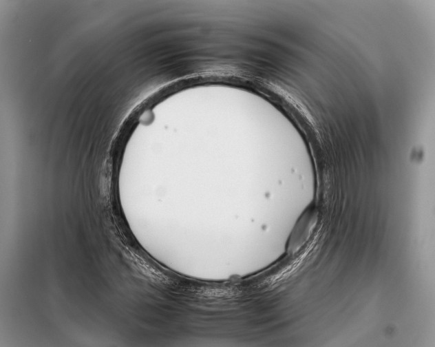 X0000097901021200804111039