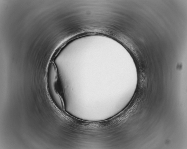 X0000097901028200804111039