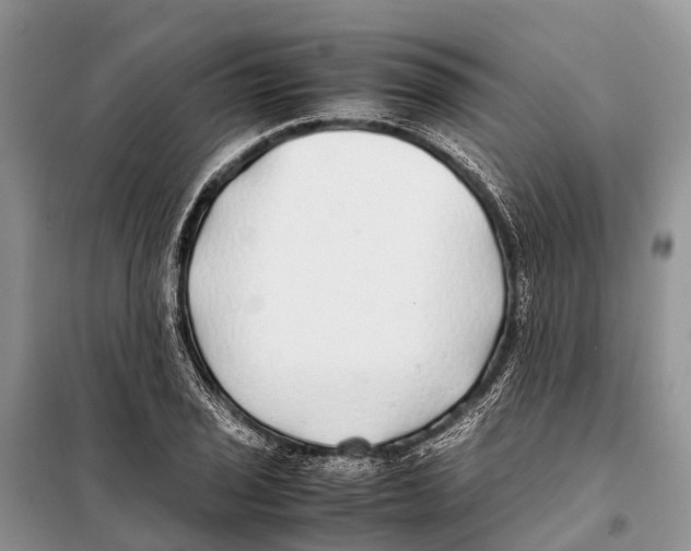 X0000097901029200804111039