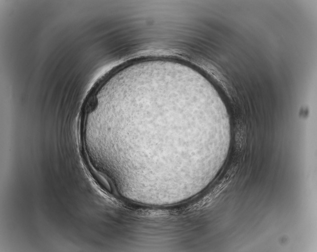 X0000097901030200804111039