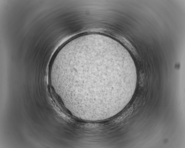 X0000097901036200804111039