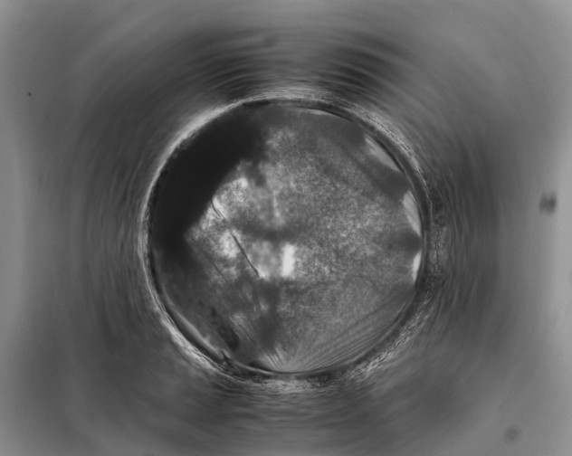 X0000097901037200804111039