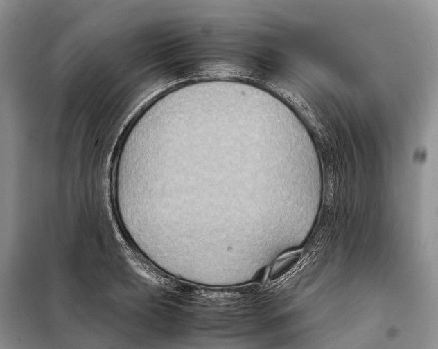 X0000097901039200804111039