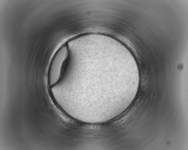 X0000097901040200804111039