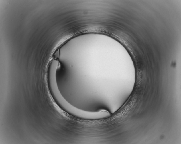 X0000097901042200804111039