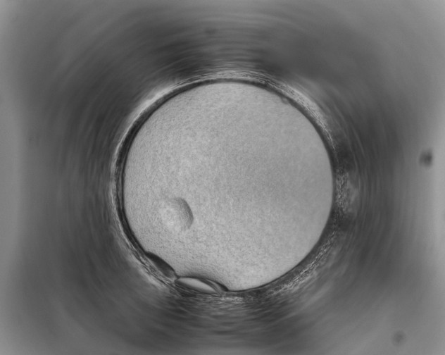 X0000097901043200804111039