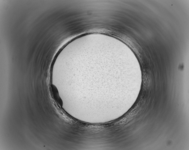 X0000097901044200804111039