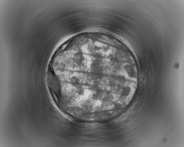 X0000097901045200804111039