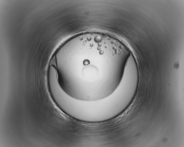 X0000097901048200804111039