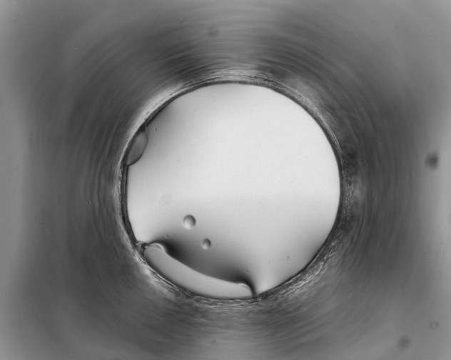 X0000097901050200804111039