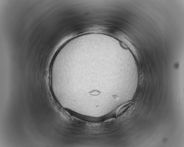 X0000097901051200804111039