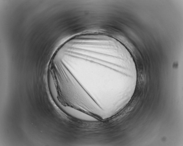 X0000097901055200804111039