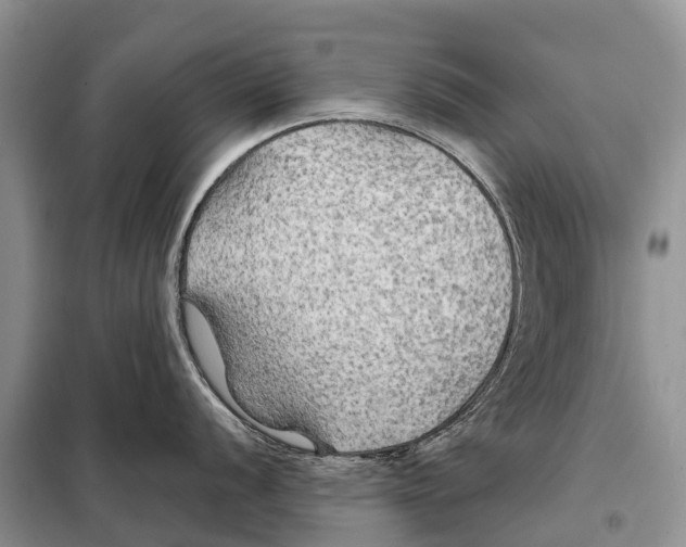 X0000097901056200804111039