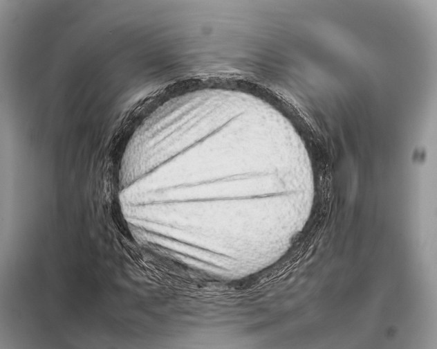 X0000097901063200804111038