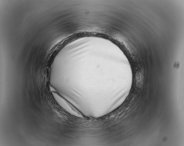 X0000097901064200804111038