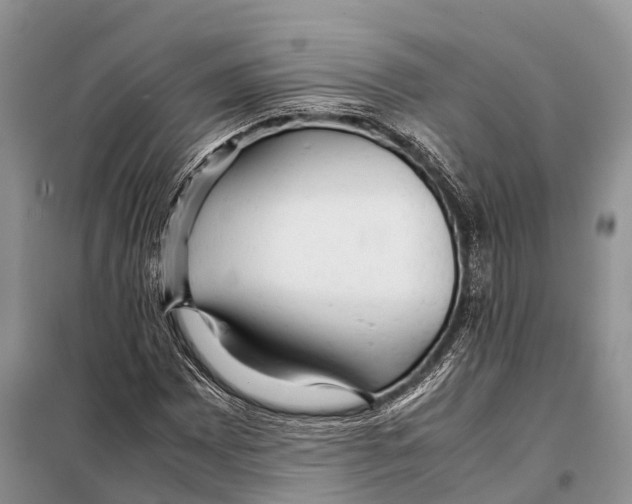 X0000097901065200804111038