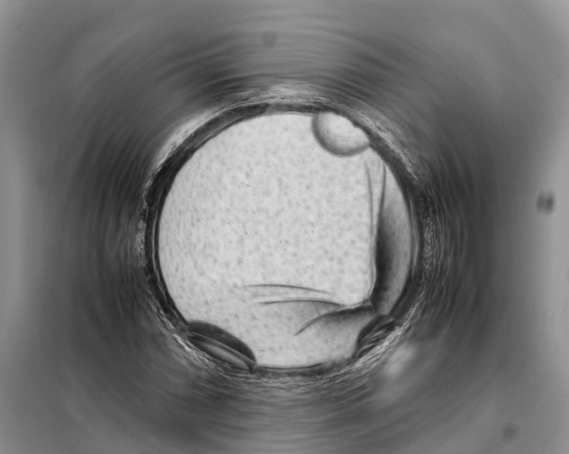 X0000097901066200804111038