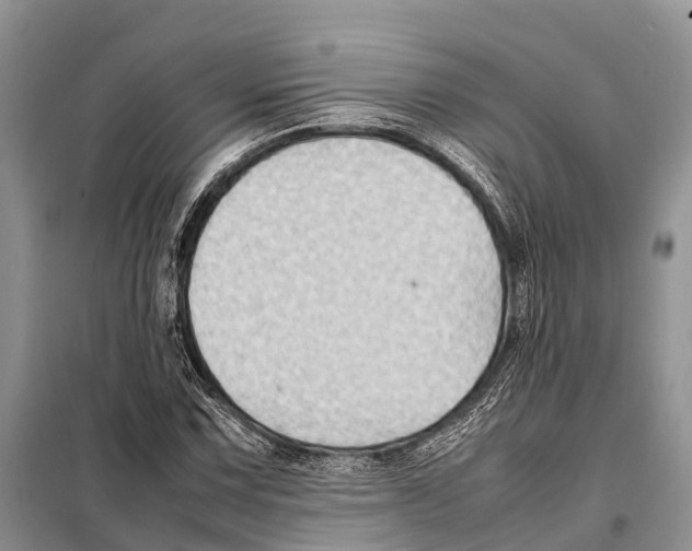 X0000097901067200804111038