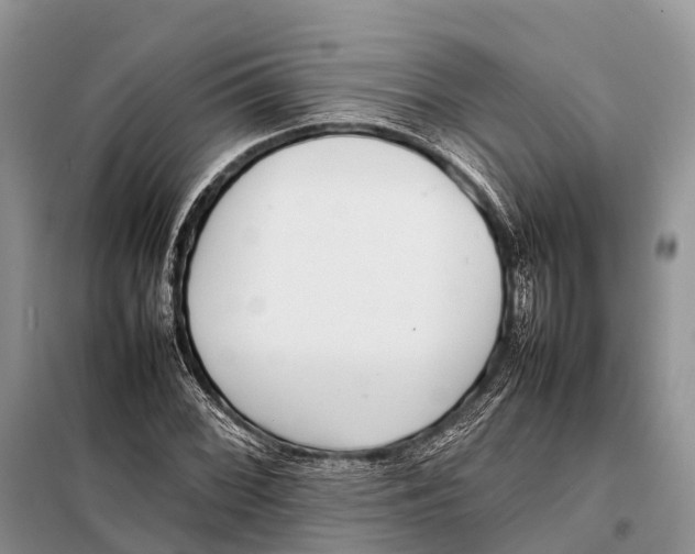 X0000097901068200804111038