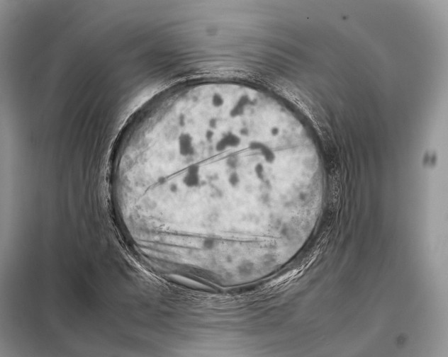 X0000097901071200804111038