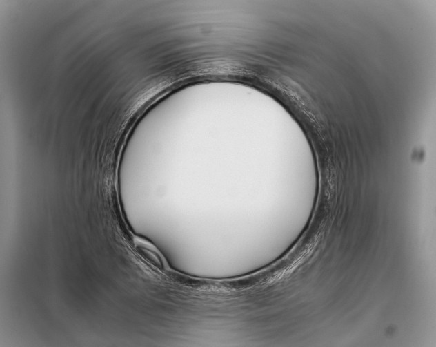 X0000097901073200804111038