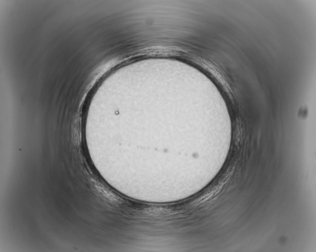 X0000097901075200804111038