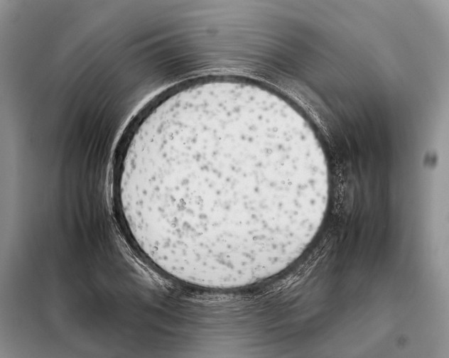 X0000097901076200804111038