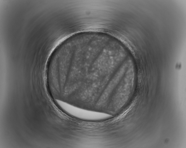 X0000097901077200804111038