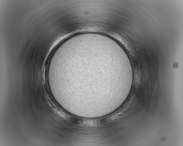 X0000097901078200804111038