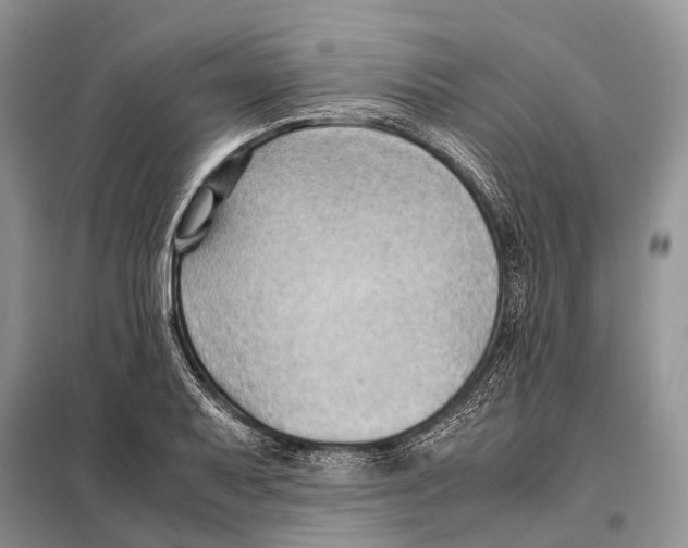 X0000097901079200804111038