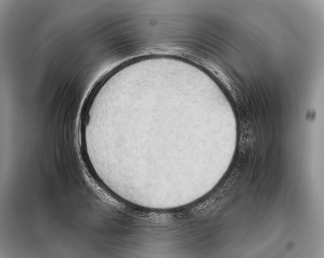 X0000097901080200804111038