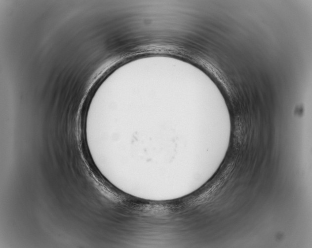 X0000097901082200804111038