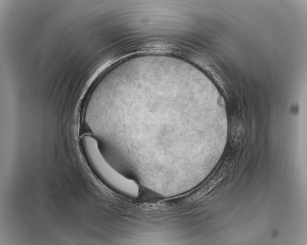 X0000097901083200804111038