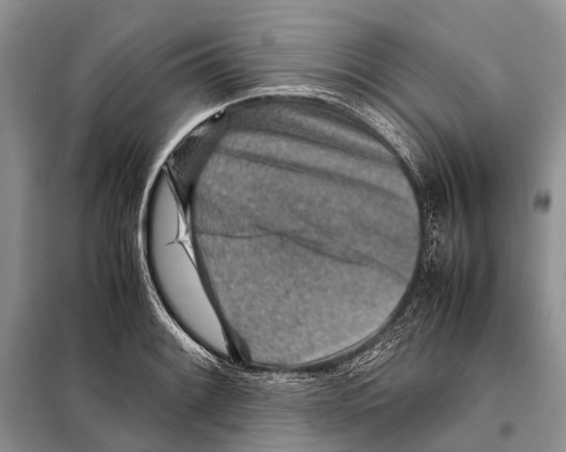 X0000097901084200804111038