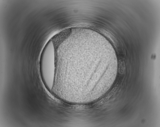 X0000097901087200804111038