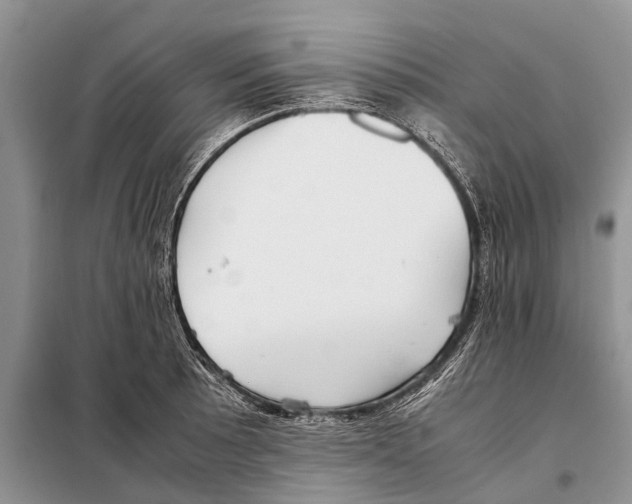 X0000097901089200804111038