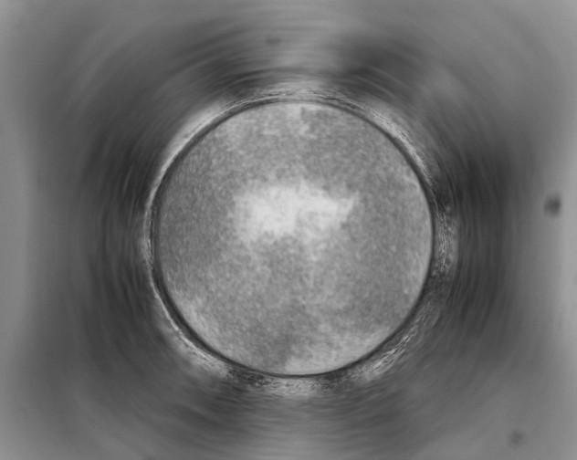 X0000097901090200804111038