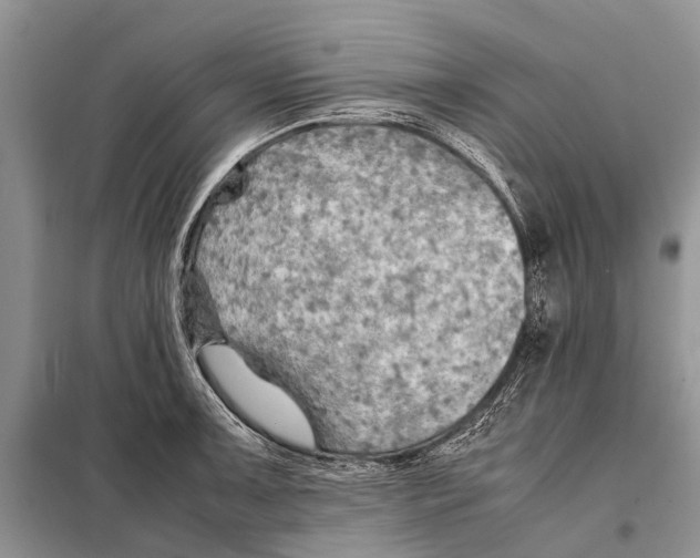 X0000097901091200804111038