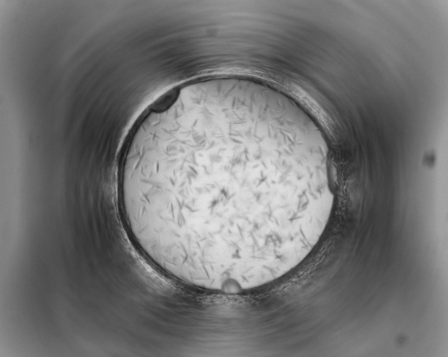 X0000097901092200804111038