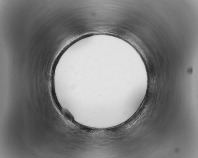 X0000097901093200804111038