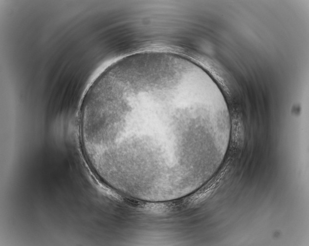 X0000097901094200804111038