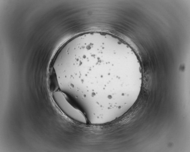 X0000097901096200804111038