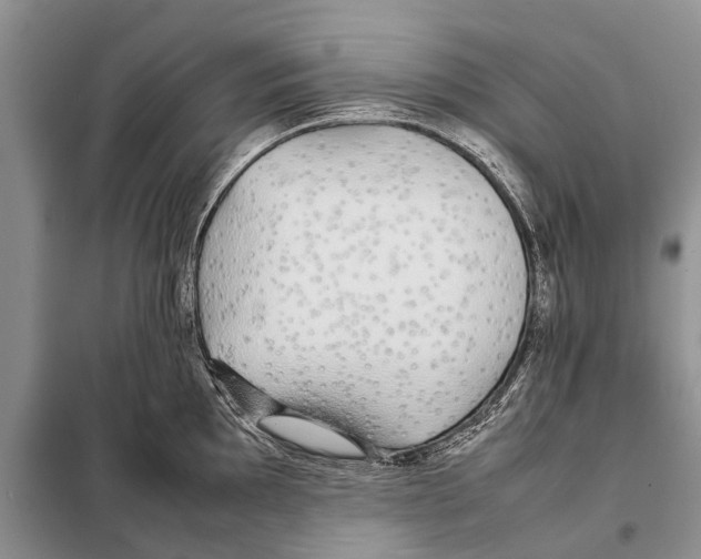 X0000097901097200804111038