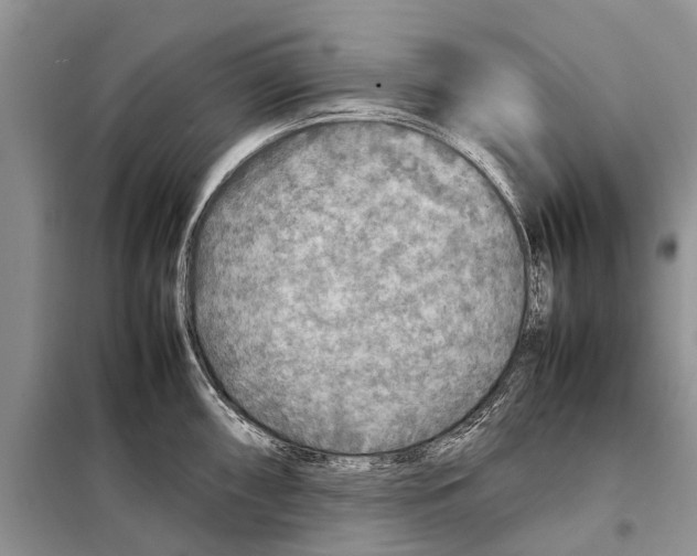 X0000097901098200804111038