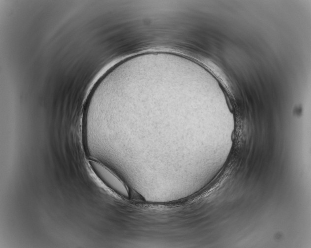 X0000097901100200804111038