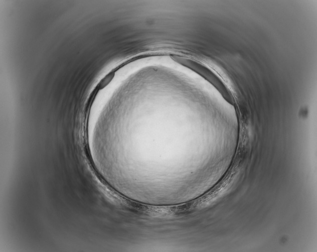 X0000097901101200804111038