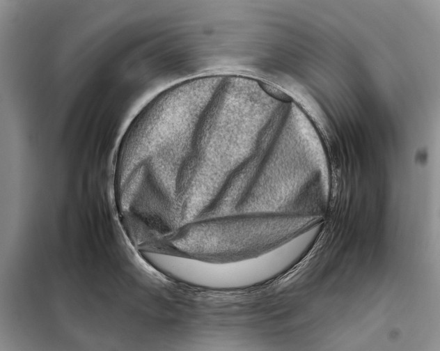 X0000097901102200804111038